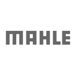 Mahle водяной насос